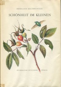 Hiltbrunner, Schönheit im Kleinen. (Umschlag)