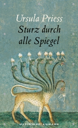 Priess, Sturz durch alle Spiegel. (Einband)