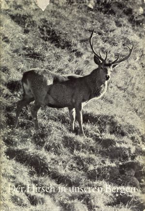 Schmidt, Der Hirsch in unseren Bergen. (Umschlag)