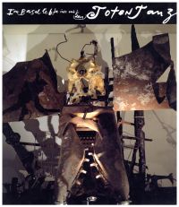 In Basel lebte ich mit dem Totentanz. (Umschlag)