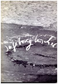 Kunstmuseum Solothurn: Ingeborg Lüscher. (Umschlag)