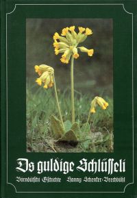 Schenker-Brechbühl, Ds guldige Schlüsseli. (Umschlag)